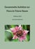 Gesammelte Aufsätze zur Flora im Trierer Raum - 1968 bis 2023 von Hans Reichert