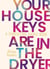 Your House Keys are in the Dryer: A Parenting Haiku Book