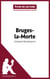Bruges-la-Morte de Georges Rodenbach (Fiche de lecture) - Analyse complète et résumé détaillé de l'oeuvre