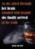 As She Sifted Through Her Brain Clouded with Brandy She Finally Arrived at the Truth
