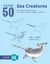 Draw 50 Sea Creatures - The Step-by-Step Way to Draw Fish, Sharks, Mollusks, Dolphins, and More