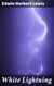 White Lightning - A Gritty Tale of Crime and Corruption in Prohibition-era America