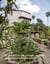 Quinta Mazatlan: A Visual Journey - Architecture of the Lower Rio Grande Valley, #2