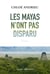 Les mayas n'ont pas disparu
