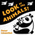Look at the Animals - A High Contrast Board Book