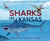 Sharks in Kansas - The Ancient Sea in the Middle of America