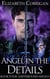 Angel in the Details - Earthbound Angels, #4