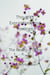 Thoughts Expressions and Feelings " The Reality of Being"