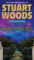 Son of Stone - A Stone Barrington Novel