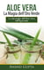 Aloe Vera: La Magia dell'Oro Verde - La meraviglia dell'Aloe Vera nell'Ayurveda