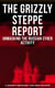 The Grizzly Steppe Report (Unmasking the Russian Cyber Activity) - Official Joint Analysis Report: Tools and Hacking Techniques Used to Interfere the U.S. Elections