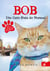 Bob, um gato fora do normal