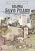 Colonia Silvio Pellico - sus raíces, religión y cooperativismo