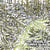 Diaper island - CD