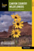 Canyon Country Wildflowers - A Guide to Common Wildflowers, Shrubs, and Trees