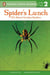 Spider's Lunch - All About Garden Spiders