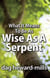 What it Means to be as Wise as a Serpent - Leadership, #3