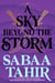 A Sky Beyond the Storm