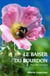 Le baiser du bourdon