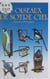 30 oiseaux de notre ciel