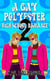 A Gay Polyester High School Romance 2 - A Gay Polyester High School Romance, #2