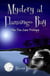 Mystery at Flamingo Bay - The Tin Can Trilogy, #1