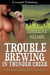 Trouble Brewing in Thunder Creek - Thunder Creek Ranch, #3
