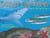 Ocean Counting - Odd Numbers