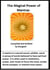The Magical Power of Mantras