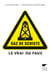 Gaz de schiste