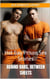 Behind Bars, Between Sheets: Hot Gay Prison Sex Stories - Forbidden Touches, #4