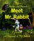Shadow and Friends Meet Mr. Rabbit - Shadow and Friends, #1