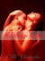 A Groupie's Lust