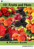 101 Fruits and Nuts: A Picture Guide