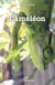 Caméléon - Roman