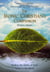 The Ironic Christian's Companion - Finding the Marks of God's Grace in the World