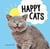 Happy Cats - Photos of Felines Feeling Fab
