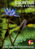 Mauritius Flora & Fauna