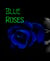 Blue Roses
