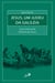Jesus, um judeu da Galiléia - Nova leitura da história de Jesus