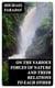 On the Various Forces of Nature and Their Relations to Each Other