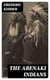 The Abenaki Indians - Their Treaties of 1713 & 1717, and a Vocabulary