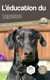 L'éducation du Dobermann : toutes les astuces pour un Dobermann bien éduqué