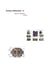 Fusion Materials IV - Book of Abstracts Revised