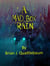 A Mad Box of Rain - A Mad Box of Rain