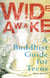 Wide Awake - Buddhism for the New Generation
