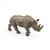 Rhinocéros noir - PAPO - 50066