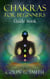 Chakras for Beginners Guide Book