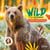 Wild : La vie sauvage - Incroyables animaux de France
