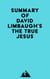 Summary of David Limbaugh's The True Jesus